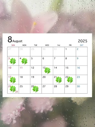 🍀fein. sakura🍀の眉毛・アイブロウイメージ