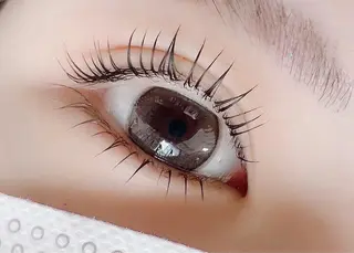 マツエク・マツパ 【那覇/束感まつ毛】 ｷｬﾒﾙのマツエク・マツパデザイン