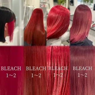 ロング カラー GaKu/ハイトーン /ブリーチ/ブロンドのヘアスタイル