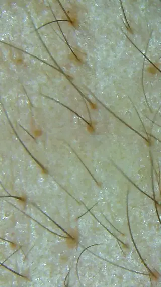 セントラル鍼灸院 Re:laxyのエステ・リラクイメージ