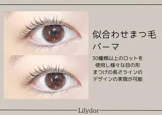 マツエク・マツパ Lillyd’or 立川北まつ毛パーマのマツエク・マツパデザイン