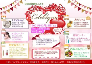 岩井 秋子のエステ・リラクイメージ