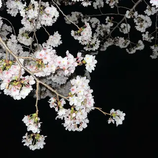 TIDEHAIR SHIHOのヘアスタイル