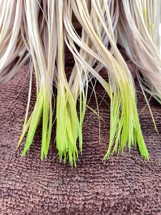 ショート カラー share salon OXY所属・🌈ショートの神様 🌈原田公祐のヘアスタイル