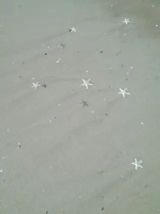 Rairia momoka🎀✨のマツエク・マツパデザイン