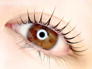 マツエク・マツパ most eyes 調布所属・🪼 mao🪼のマツエク・マツパデザイン