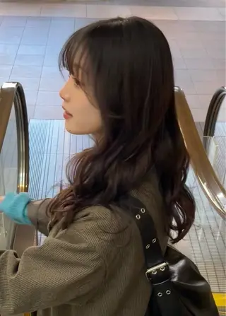 セミロング 園田 渉 ◤SHIKIO◢のヘアスタイル