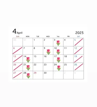 ロング MIREI /韓国風 /大阪美容室のヘアスタイル