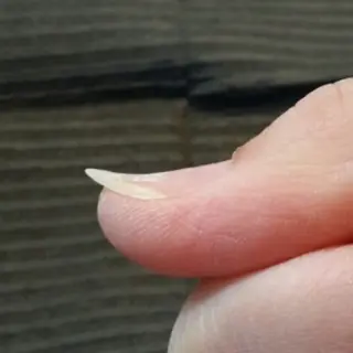 ネイル Y U K Iのネイルデザイン