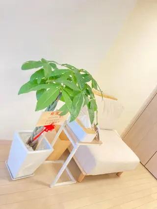 学生向けケア| 肩こり・姿勢・小顔✨のエステ・リラクイメージ