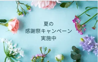 パーソナルカラー骨格顔タイプサロン/lion所属・パーソナルカラー🦩 lionのその他イメージ