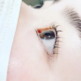 マツエク・マツパ PROGRESS Shiori ⭐︎のマツエク・マツパデザイン