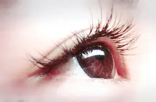 マツエク・マツパ Orange  Camelのマツエク・マツパデザイン