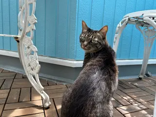 Rika _のネイルデザイン