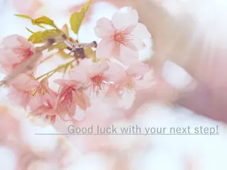 ｉ Ayanaのマツエク・マツパデザイン