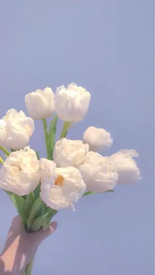 eyelist yumiのマツエク・マツパデザイン