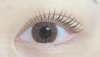 マツエク・マツパ プラスアイ 蒲田西口店のマツエク・マツパデザイン