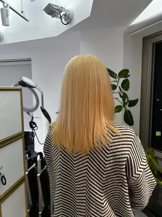 セミロング カラー レイヤーカット/瀬川 琴音のヘアスタイル