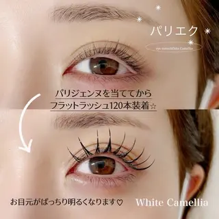 マツエク・マツパ 🎀沢田 未有✴︎心斎橋店のマツエク・マツパデザイン