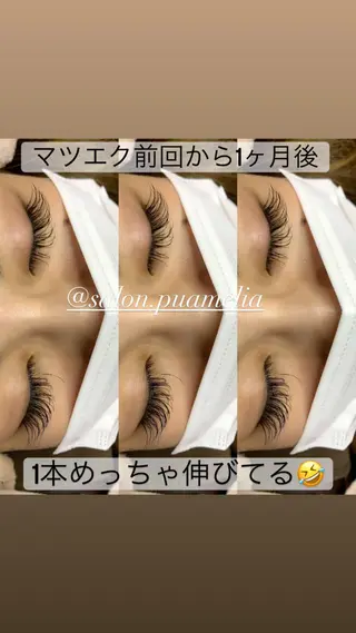 マツエク・マツパ Pua Meliaのマツエク・マツパデザイン