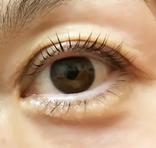 マツエク・マツパ トレヴァーデルチザン inuiのマツエク・マツパデザイン