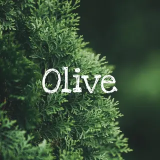 ミディアム HARUKI 艶髪特化美容師のヘアスタイル