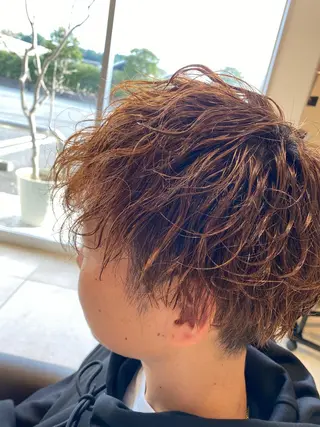 ショート エイジングケア、白髪 ぼかしヒキマカイトのヘアスタイル