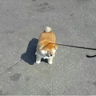 アイブロウ Bianca 大宮店 YANAGI🐕のマツエク・マツパデザイン