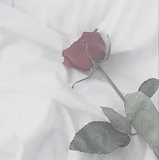 🍒 SHIORI🍒のマツエク・マツパデザイン