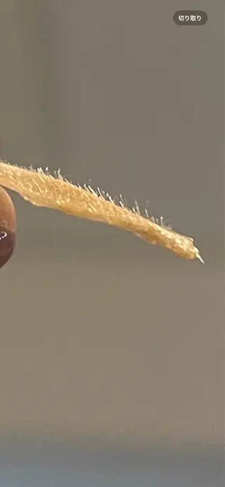 B&H所属・頭痛•肩こり専門/ 眉サロンB&H心斎橋のエステ・リラクイメージ