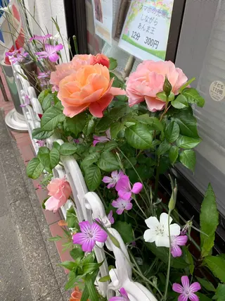 竹内 秀美のヘアスタイル