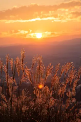 ネイル asuka 🐰のネイルデザイン