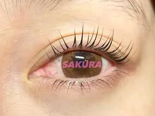 マツエク・マツパ まつ毛エクステ&HIFU専門店 SAKURA【サクラ】心斎橋店所属・SAKURA心斎橋 ヒロコのマツエク・マツパデザイン