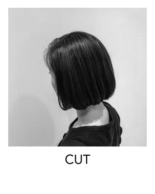 ショート カラー ヘアアレンジ 特別モデル価格 タカシマイッセイのヘアスタイル