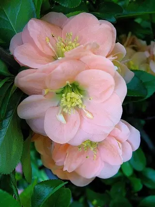 nail atelier  new moon所属・森 貴子のネイルデザイン