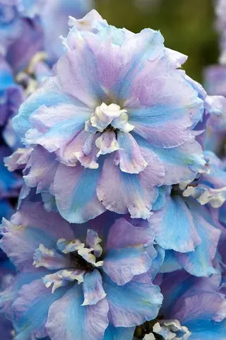 nail atelier  new moon所属・森 貴子のネイルデザイン