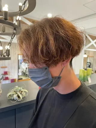 ショート カラー パーマ 鈴村 大介のヘアスタイル