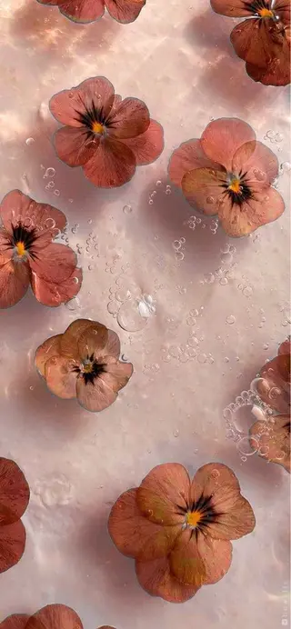 ✿Remi✿/束感 /マツパ/マツエクのマツエク・マツパデザイン