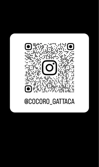 kawahara cocoroのヘアスタイル