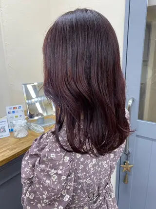 ミディアム カラー ウルフカットモデル 🧃Shionのヘアスタイル