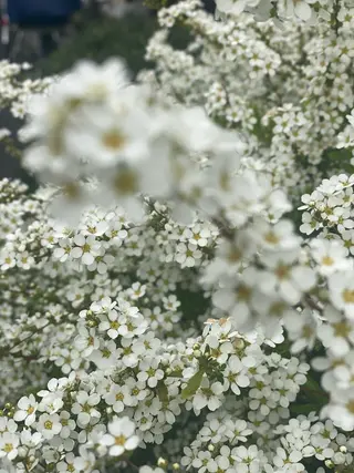 ネイル free hug Hiromiのネイルデザイン