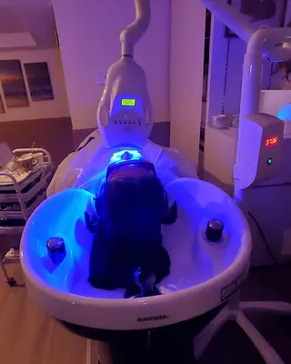 spa hair  ark 富井直美のヘアスタイル