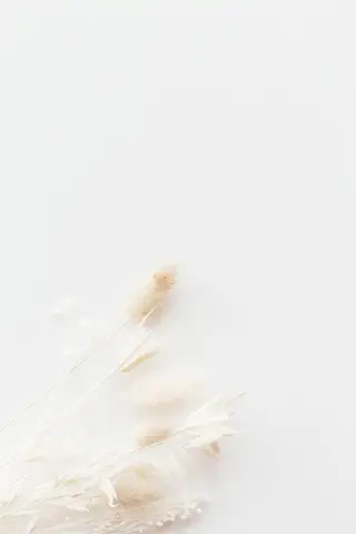 メンズ マツエク・マツパ アイブロウ Lash&brow PORTE269布施店所属・brace 竹田愛海のエステ・リラクイメージ