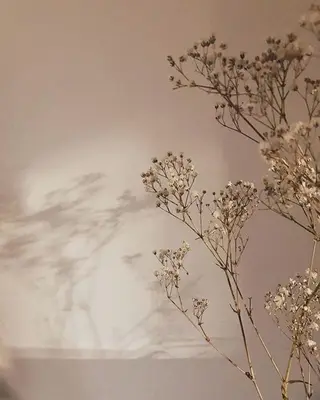 マツエク・マツパ miien(SALONVILLAGE内)所属・MOE /渋谷・明治神宮前のマツエク・マツパデザイン