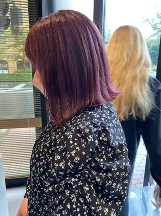 ミディアム カラー ハイトーン/ボブ/ レイヤー💫カイセイのヘアスタイル