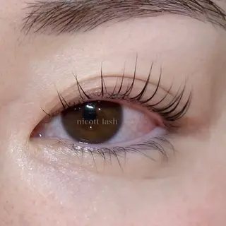 マツエク・マツパ nicott 篠田のマツエク・マツパデザイン