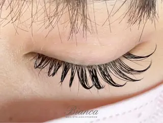 マツエク・マツパ Q-LASH柏所属・🫧Q-LASH柏 ARAI🫧のマツエク・マツパデザイン