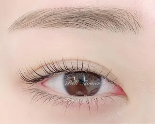 マツエク・マツパ アイブロウ BellFlower Aki(眉・まつげ)のマツエク・マツパデザイン