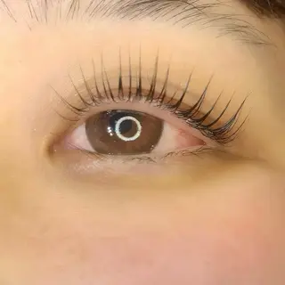 マツエク・マツパ Celeste Venus所属・🧸Celeste Venusのマツエク・マツパデザイン