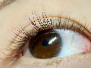 マツエク・マツパ komatsu eyelash恵比寿のマツエク・マツパデザイン